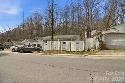 43 Candler School Road, Candler, NC 28715 - Photo 3