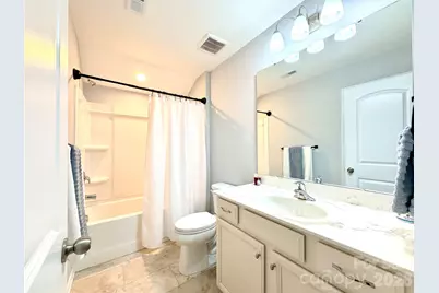 10034 Sweetbriar Rose Court, Huntersville, NC 28078 - Photo 35