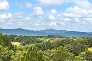 571 Fletcher Martin Rd, Alexander, NC 28701 - Photo 27