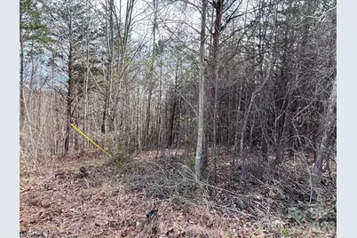 24 Katies Way, Nebo, NC 28761 - Photo 5