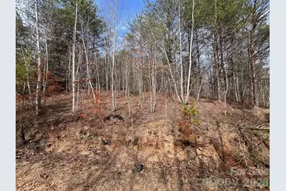 24 Katies Way, Nebo, NC 28761 - Photo 13