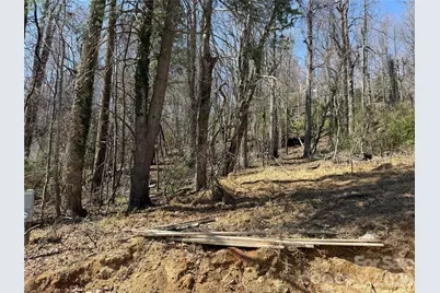 3 Fawn Turn Lane, Hendersonville, NC 28739 - Photo 15