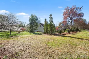 10116 Mountain Apple Dr, Mint Hill, NC 28227 - Photo 39