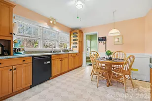 10116 Mountain Apple Dr, Mint Hill, NC 28227 - Photo 13