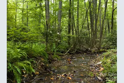 511 Emerald Mine Road, Spruce Pine, NC 28777 - Photo 23