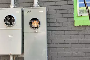 1660 Windsor St, Orangeburg, SC 29115 - Photo 37