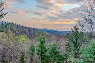 9147 Shortoff View Terrace, Nebo, NC 28761 - Photo 3