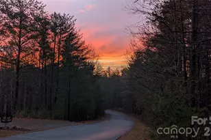 9147 Shortoff View Terrace, Nebo, NC 28761 - Photo 43