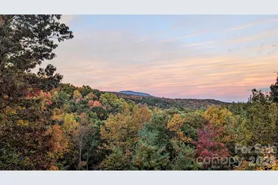 9147 Shortoff View Terrace, Nebo, NC 28761 - Photo 45