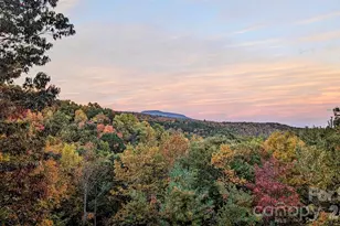 9147 Shortoff View Terrace, Nebo, NC 28761 - Photo 45