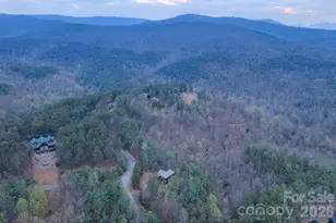 9147 Shortoff View Terrace, Nebo, NC 28761 - Photo 37