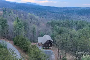 9147 Shortoff View Terrace, Nebo, NC 28761 - Photo 39