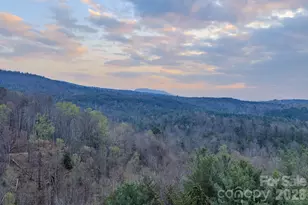 9147 Shortoff View Terrace, Nebo, NC 28761 - Photo 7
