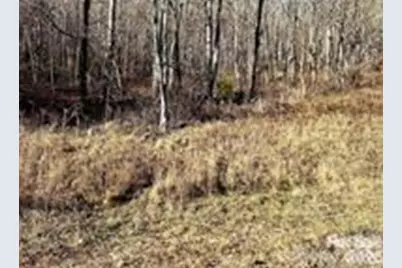 108 Lanning Road, Clyde, NC 28721 - Photo 7