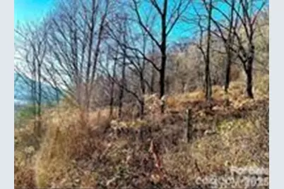 108 Lanning Road, Clyde, NC 28721 - Photo 9