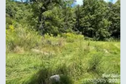 108 Lanning Road, Clyde, NC 28721 - Photo 3