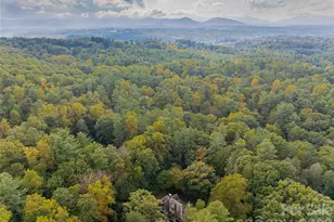 30 Cedarcliff Rd, Asheville, NC 28803 - Photo 45