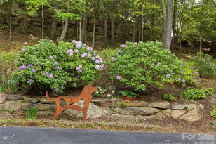 239 Senator Reynolds Rd, Asheville, NC 28804 - Photo 11