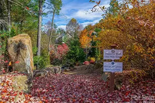 239 Senator Reynolds Rd, Asheville, NC 28804 - Photo 31