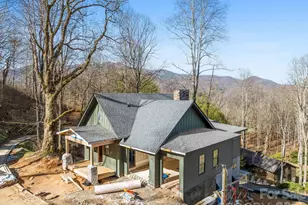 51 Bear Tree Cove, Canton, NC 28716 - Photo 3