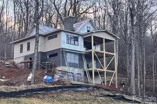 51 Bear Tree Cove, Canton, NC 28716 - Photo 5