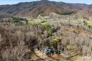 51 Bear Tree Cove, Canton, NC 28716 - Photo 17