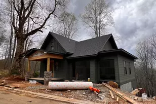 51 Bear Tree Cove, Canton, NC 28716 - Photo 21