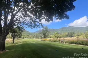 51 Bear Tree Cove, Canton, NC 28716 - Photo 25