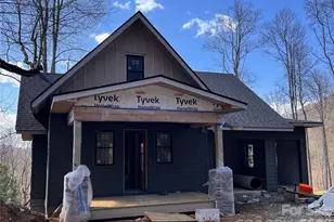 51 Bear Tree Cove, Canton, NC 28716 - Photo 7