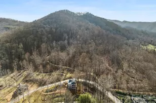 51 Bear Tree Cove, Canton, NC 28716 - Photo 15