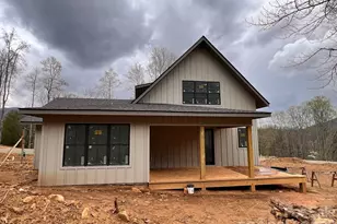 100 Bear Tree Cove, Canton, NC 28716 - Photo 23