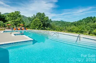 100 Bear Tree Cove, Canton, NC 28716 - Photo 7