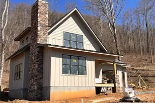 100 Bear Tree Cove, Canton, NC 28716 - Photo 3