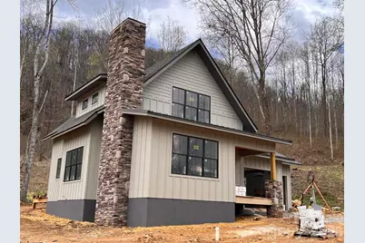 100 Bear Tree Cove, Canton, NC 28716 - Photo 19