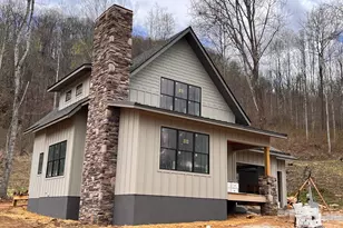 100 Bear Tree Cove, Canton, NC 28716 - Photo 19