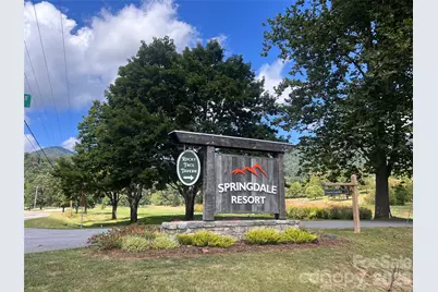 100 Bear Tree Cove, Canton, NC 28716 - Photo 43