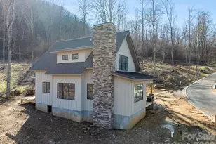 100 Bear Tree Cove, Canton, NC 28716 - Photo 13