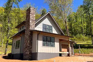 100 Bear Tree Cove, Canton, NC 28716 - Photo 13