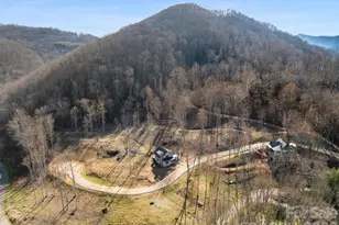 100 Bear Tree Cove, Canton, NC 28716 - Photo 9