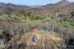 100 Bear Tree Cove, Canton, NC 28716 - Photo 17