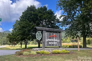 100 Bear Tree Cove, Canton, NC 28716 - Photo 33