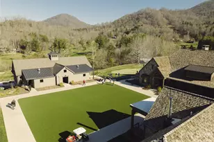 100 Bear Tree Cove, Canton, NC 28716 - Photo 35