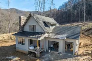 100 Bear Tree Cove, Canton, NC 28716 - Photo 15