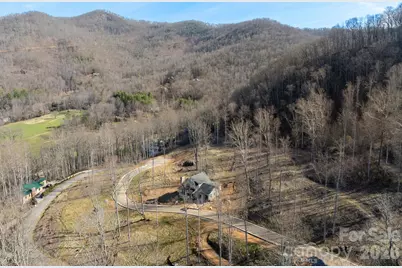 100 Bear Tree Cove, Canton, NC 28716 - Photo 9