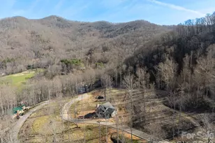 100 Bear Tree Cove, Canton, NC 28716 - Photo 9