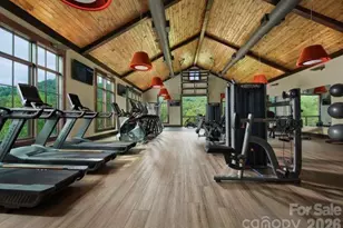 100 Bear Tree Cove, Canton, NC 28716 - Photo 11