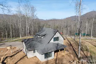 100 Bear Tree Cove, Canton, NC 28716 - Photo 13
