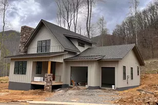 100 Bear Tree Cove, Canton, NC 28716 - Photo 19