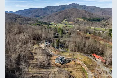 100 Bear Tree Cove, Canton, NC 28716 - Photo 7