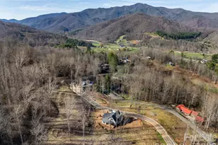 100 Bear Tree Cove, Canton, NC 28716 - Photo 7